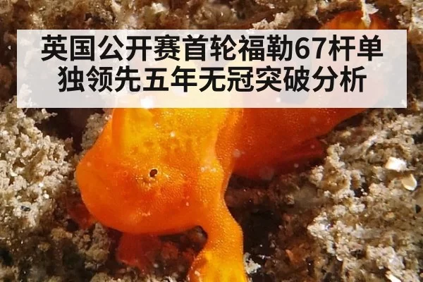 英国公开赛首轮福勒67杆单独领先五年无冠突破分析（aiyouxi）