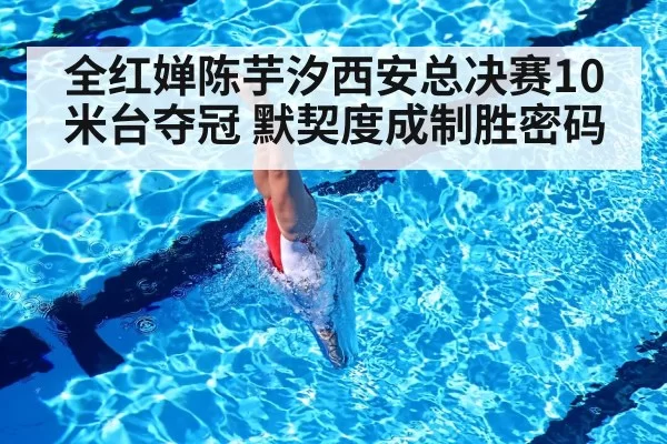 全红婵陈芋汐西安总决赛10米台夺冠 默契度成制胜密码